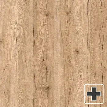 Interiérové dveře Falcové/Bezfalcové dveře - Pasaro 2 ENDURO PLUS - Dub naturální (B587)