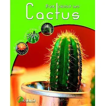 Tarot Rohrig – Rohrig (FR)