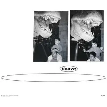 Zahraniční hudba 2LP Vegyn: Only Diamonds Cut Diamonds 2025