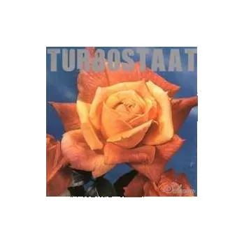 Zahraniční hudba LP Turbostaat: Schwan LTD 2024 180g Limited Edition Vinyl