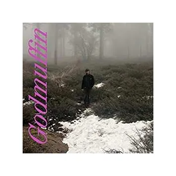 Zahraniční hudba LP Mike Viola: Godmuffin 2021