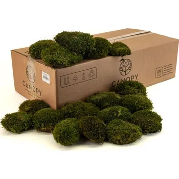 umělá květina Stabilizovaný kopečkový mech MOOD MOSS Canopy | Přírodně Zelený | 100g