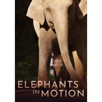 Zahraniční hudba DVD Feature Film: Elephants In Motion 2024
