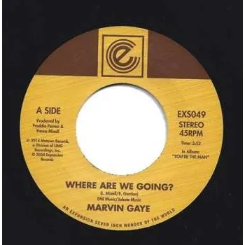 Zahraniční hudba SP Marvin Gaye: Where Are We Going? / Woman Of The World 2024