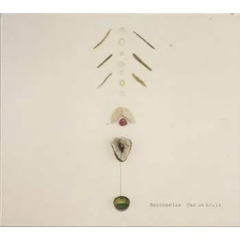 Zahraniční hudba CD Bacchantes: Pas un bruit 2024