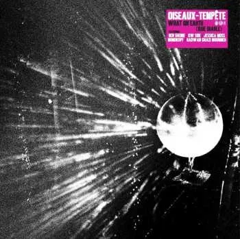 Zahraniční hudba CD Oiseaux-Tempête: What On Earth (Que Diable) 2023 Que Diable