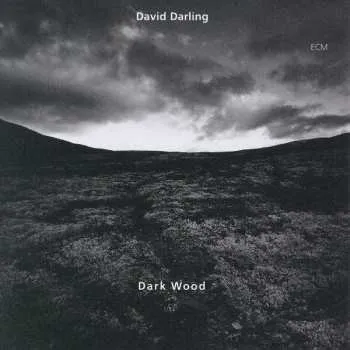 Zahraniční hudba CD David Darling: Dark Wood 2000