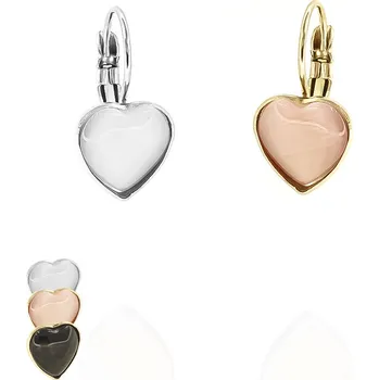 Náušnice Náušnice z chirurgické oceli Heart of Gold - Bílá / Nerez RL