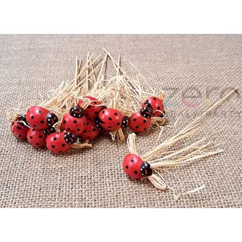 Party dekorace Zápich beruška dřevěná (16 ks) - červeno-černá