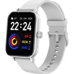 CARNEO Versa HR+/Silver/Sport Band/White 8588009299585