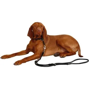 Obojek pro psa Kulatý stahovací obojek pro psy kožený, černý varianta 8 mm / 50 cm