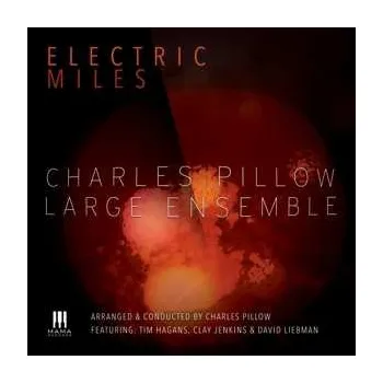 Zahraniční hudba CD David Liebman: Electric Miles 2018
