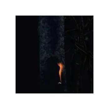 Zahraniční hudba LP Duncan Bellamy: Jump Ship,sit Lean,be Stil,stand Tall 2024