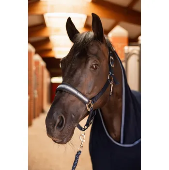 Stájová ohlávka Horze Physical, Cob - Tmavě modrá