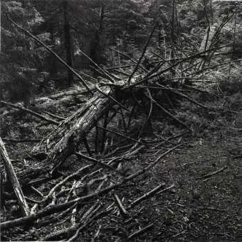 Zahraniční hudba LP Sult: Always I Gnaw 2023 Variant 1 Vinyl