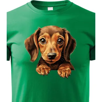 Chlapecké tričko Dětské tričko Jezevčík, Barva Zelená, Velikost 110 cm/4 roky, Canvas Dětské tričko Bezvatriko.cz 2204