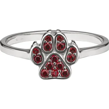 Prsten Stříbrný prsten s českým granátem, rhodiovaný - tlapka Velikost: 59