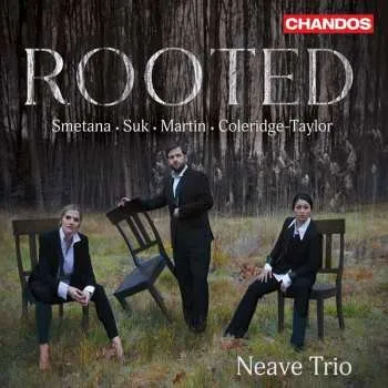 Zahraniční hudba CD Various: Neave Trio - Rooted 2024