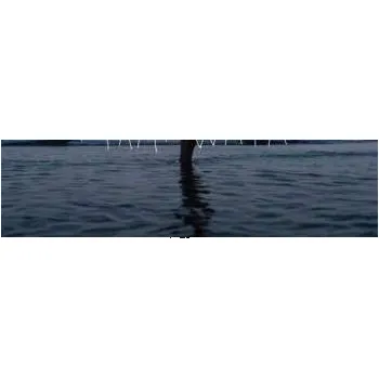 Zahraniční hudba LP Ayo: Mami Wata 2024