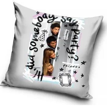 Povlak na dekorativní polštářek Povlak na polštářek - Friends - Did somebody say party?