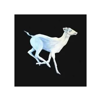 Zahraniční hudba CD Cloud Cafe: Gift Horse 2024