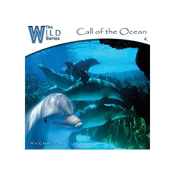 Relaxační hudba Hlas oceánu / Call of the Ocean - Wychazel