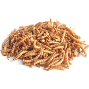 Pro ptáka Sušený moučný červ 5kg