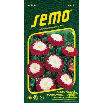 Semeno Astra čínská - Pompon red and white 0,5g
