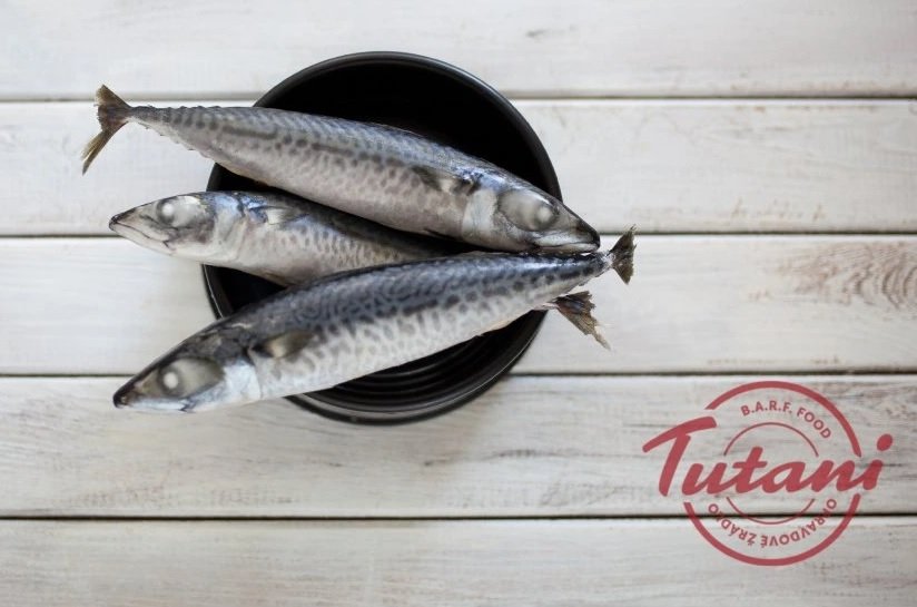 Tutani Makrela celá 1kg