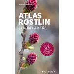 Grada Atlas rostlin - stromy a keře