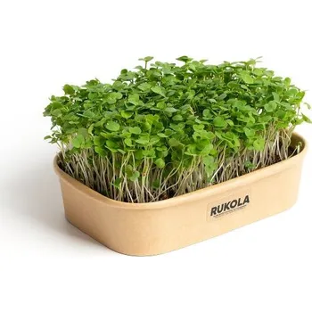 Semeno Pěstebna Farma Pěstebna Kit na microgreens - rukola