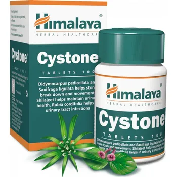 Zdraví Himalaya Cystone 100 tablet (ovlivňuje ledviny a močové cesty)