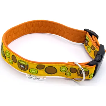 Obojek pro psa Pamlskový Ráj Obojek pro psa - kiwi Barva: oranžová 2