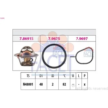 Těsnění motoru Termostat, chladivo FACET 7.8692
