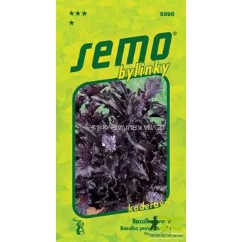 Semeno Bazalka pravá - Purple Ruffles (kadeřavá) 0,15g