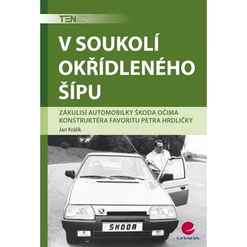 Kniha V soukolí okřídleného šípu - Králík Jan (2008) [E-kniha]
