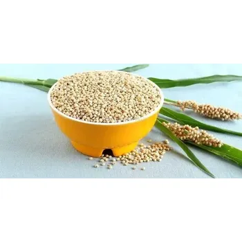 Krmivo pro ptáka Čirok bílý 1kg