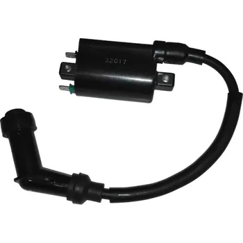 Zapalovací cívka Access-Motor Indukční cívka na Access Max/Tomahawk/250/300/400