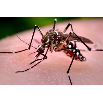 Bylinná léčivá mast Tinktur - Mastička proti Komárům a klíšťatům 30ml (Mast obsahuje: Hřebíček, Mátu, Rozmarýn, Skořice, Levandule, Fenykl)