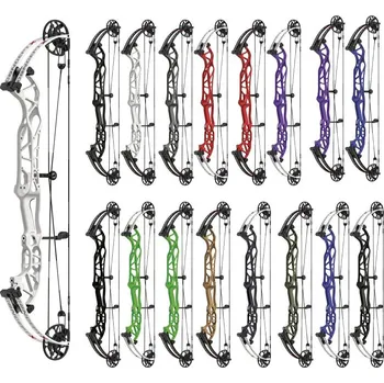 Luk Łuk bloczkowy HOYT Concept X 37 - 40-70 lbs