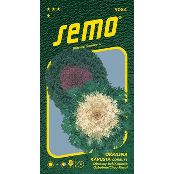 Semeno Semo Kapusta okrasná Coral F1 mix 20s 1 ks, Semena