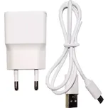 Platinium microUSB 1 A