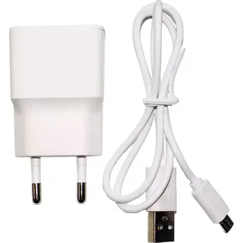 Platinium microUSB 1 A