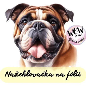 Nažehlovačky na fólii Nažehlovačka na fólii, PES - BULLDOG, 9x9 cm /ks