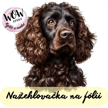 Nažehlovačky na fólii Nažehlovačka na fólii, PES - DLOUHOSRSTÝ OHAŘ, 12x10,8 cm /ks