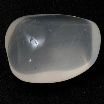 Girasol tromlovaný L 2cm (1ks)