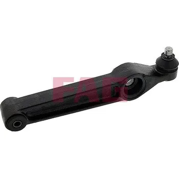 Zavěšení kol Řídicí páka, zavěšení kol Schaeffler FAG 821 0289 10