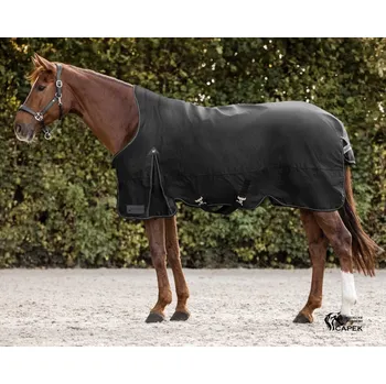 Deka pro koně Deka výběhová Waldhausen -ARCTIC HN 100G- - Černá - 125cm