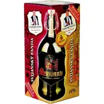 Pivovar Svijany Svijanský Fanda 11° 1 l…