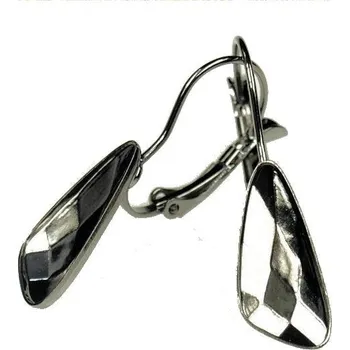 Náušnice Crystal-ZONE Náušnice Wing 18mm ruthenium